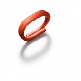 JAWBONE UP24 LARGE - PERSIMMON [Item Discontinued]