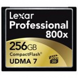 LEXAR 256 GB PROFESSIONAL 800X CF [Item Discontinued]