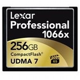 LEXAR 256 GB PROFESSIONAL 1066X CF [Item Discontinued]