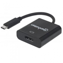 USB 3.1 C to DisplayPort Cnvrt [Item Discontinued]
