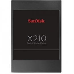 SanDisk SSD SD6SB2M-256G-1022I 256GB X210 2.5inch SATA 6Gb/s Brown Box [Item Discontinued]