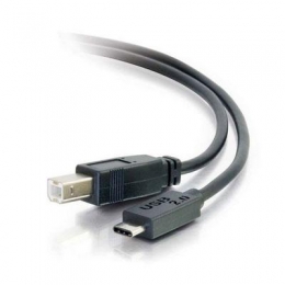 6 USB 2.0 Type C to Standrd B [Item Discontinued]