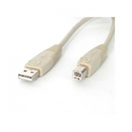 StarTech Cable USBFAB_6 6 feet Beige A to B USB Cable M/M Retail [Item Discontinued]