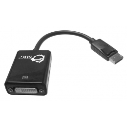 SIIG DisplayPort to DVI Adapter Cable - CB-DP0072-S1 [Item Discontinued]