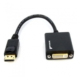 DisplayPort to DVI Video Adapter [Item Discontinued]