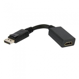 DisplayPort to HDMI Video Adap [Item Discontinued]